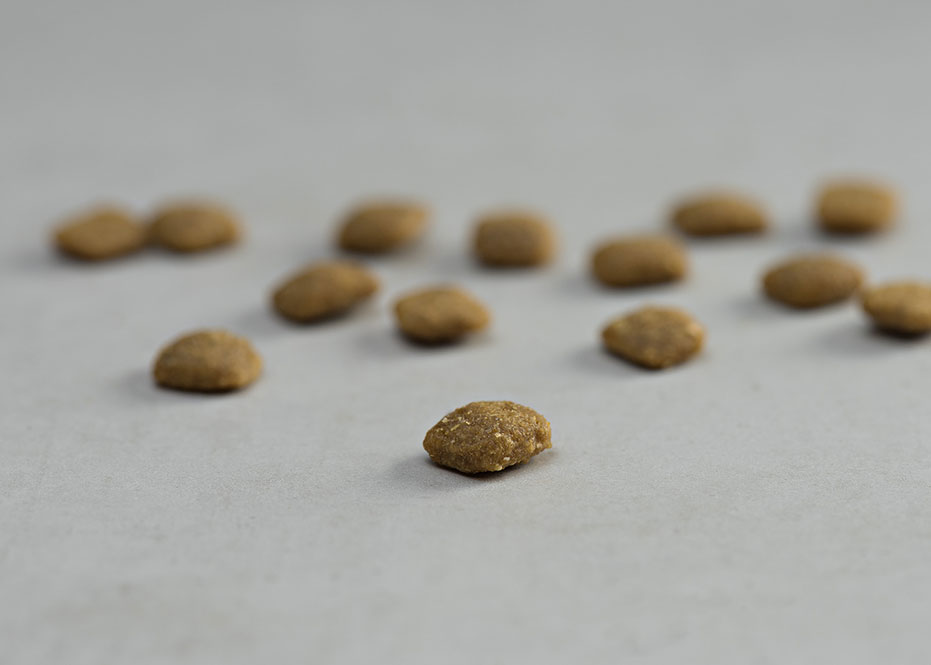 Prins Vitalcare Senior Ξηρά Τροφή Υπερήλικης Γάτας 1.5kg