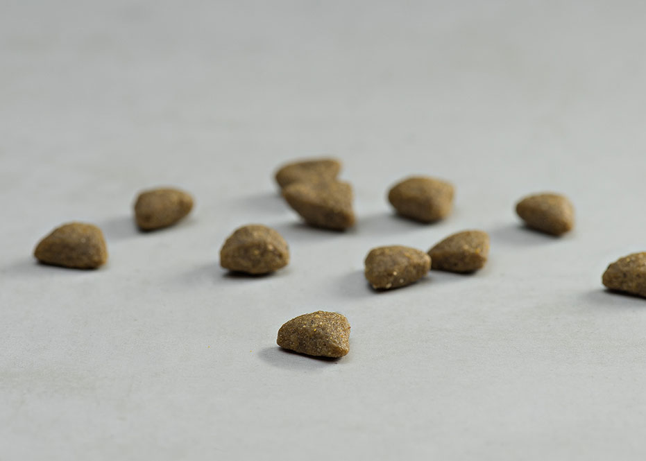 Prins Vitalcare Sensitive Herring Υποαλλεργική Ξηρά Τροφή για Ενήλικες Γάτες 4kg