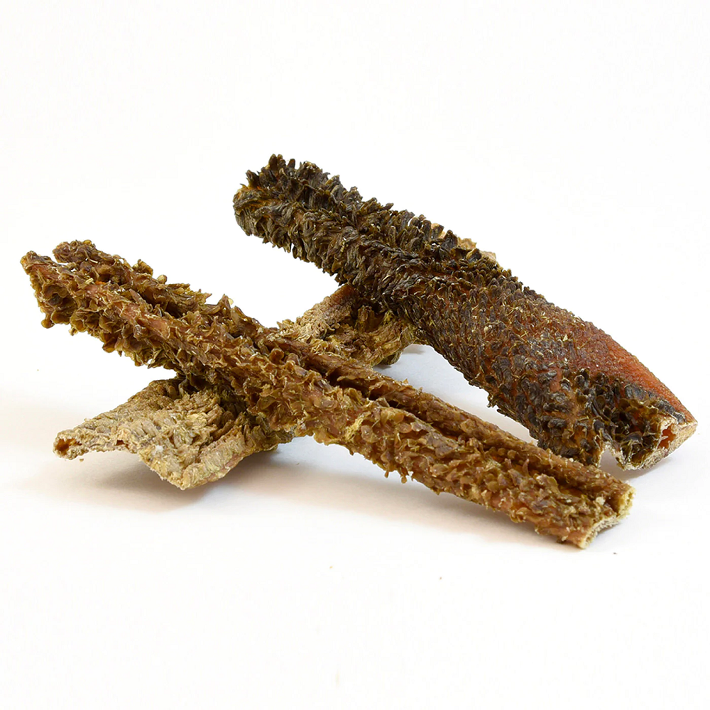 Sanadog Lamb Tripe Αποξηραμένες Φυσικές Λιχουδιές από Αρνίσιο Πατσά 200γρ