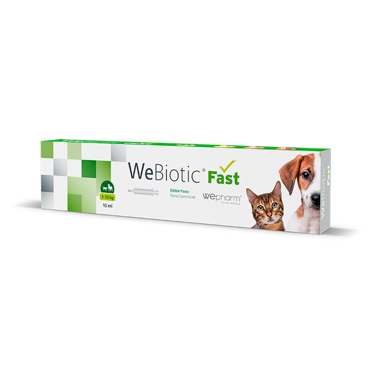 Wepharm Webiotic Fast Πάστα με Προβιοτικά για Διάρροια Γάτας, Μικρόσωμου Σκύλου 15ml