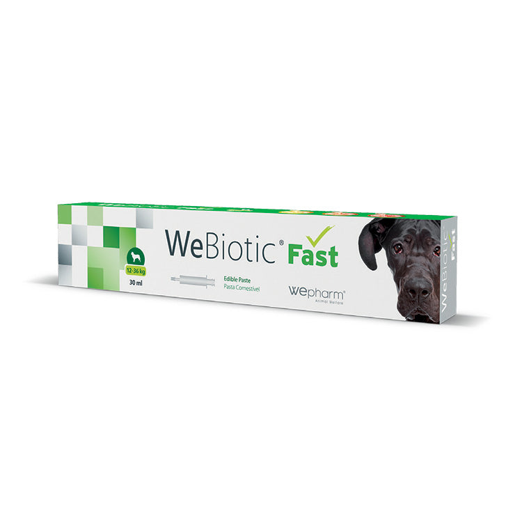 Wepharm Webiotic Fast Πάστα με Προβιοτικά για Διάρροια Μεσαίου Σκύλου 30ml