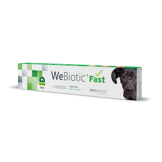 Wepharm Webiotic Fast Πάστα με Προβιοτικά για Διάρροια Μεσαίου Σκύλου 30ml