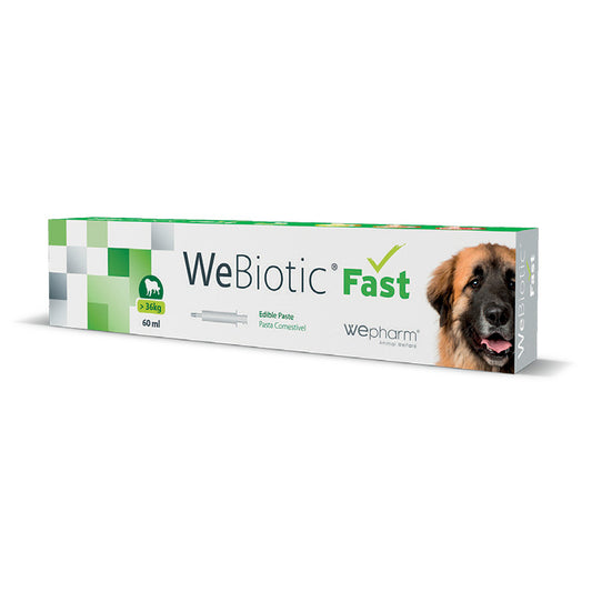 Wepharm Webiotic Fast Πάστα με Προβιοτικά για Διάρροια Μεγαλόσωμου Σκύλου 60ml