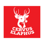 CERVUS ELAPHUS