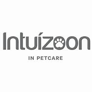 Intuizoon